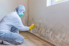 Best Mold Prevention Services  in Mauldin, SC