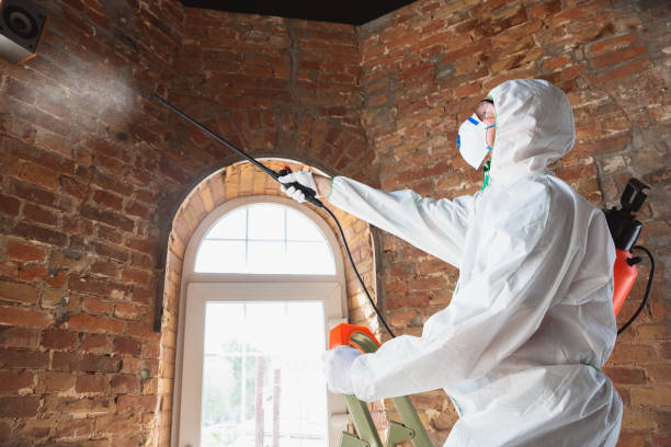 Mold Remediation for Rental Properties in Mauldin, SC