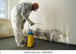 Best Mold Damage Restoration  in Mauldin, SC